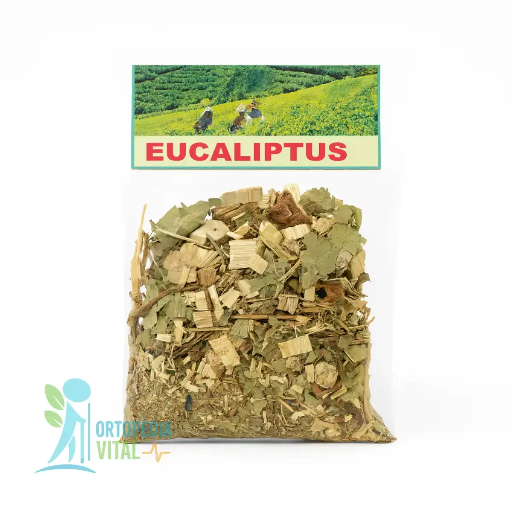 Infusión Eucaliptus Respiratoria