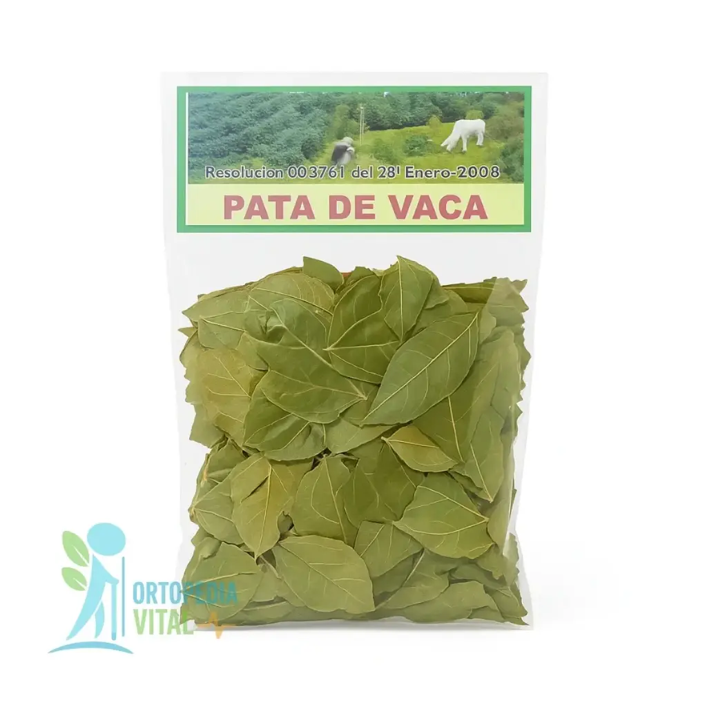 Infusión Pata de Vaca Renal